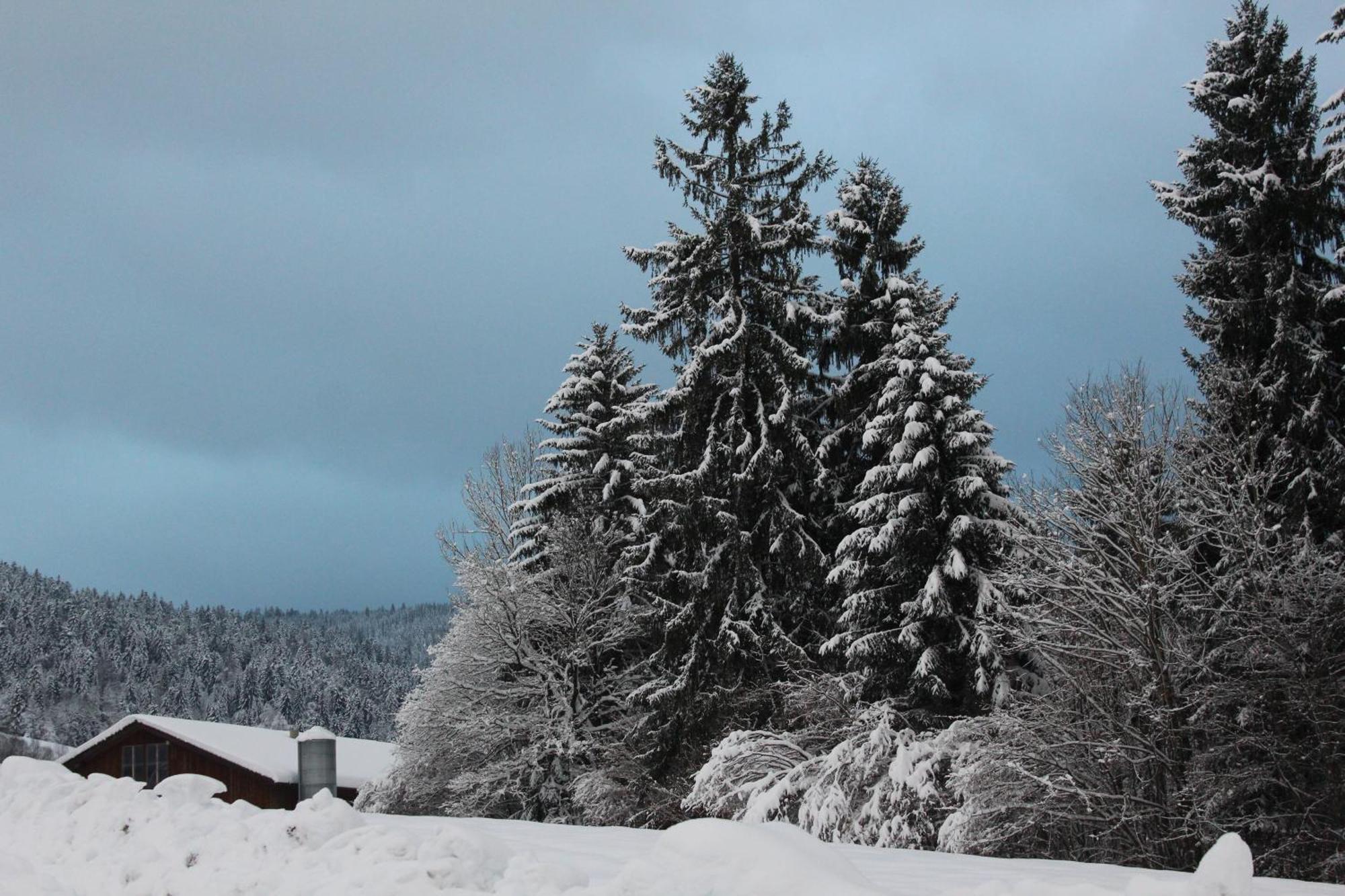 Naturparadies Silvia Alberschwende Dış mekan fotoğraf